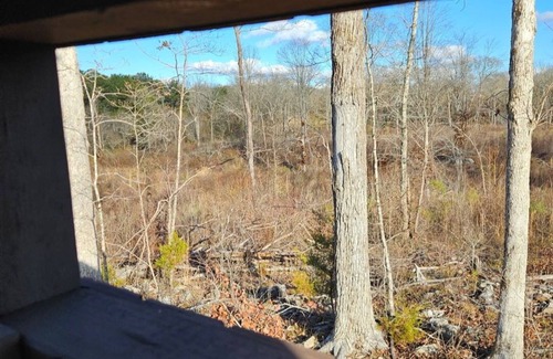 Alexander City Cabina | Cabin On 40 Acres