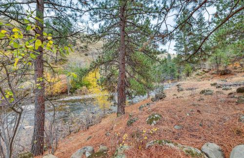 Idaho County Casa | Cabin on Little Salmon River about 10 Mi to Riggins!