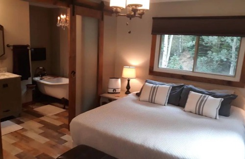 Dumont Cabina | Cabin on the Creek with Hot Tub and Steam Shower