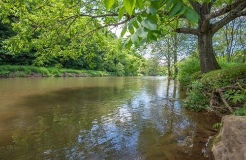 Lansing Casa | Cabin on the New River with Easy Steps to the River,Hot Tub, Fire Pit