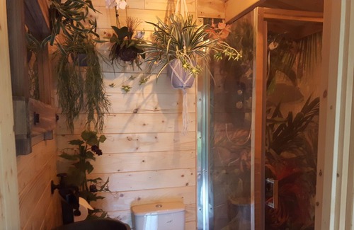 Hatherton Cabina | cabin set in a beautiful romantic tropical garden