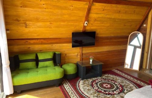 Dieng Kulon Villa | Cabin shawa dieng