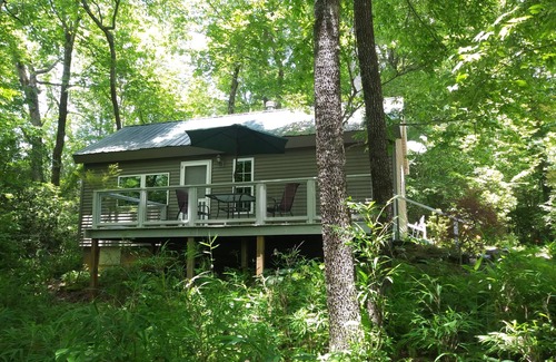 Brevard Cabina | Cabin with two trout rivers onsite. Brevard and Pisgah National Forest close by.