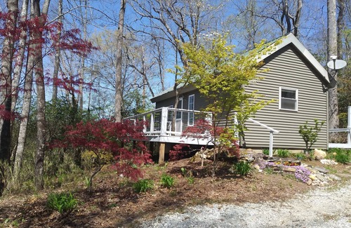Brevard Cabina | Cabin with two trout rivers onsite. Brevard and Pisgah National Forest close by.