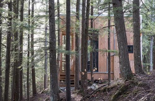 Eastman Casa | Cabin Zoobox 66