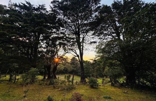 Sierra Apartamento | Cabina de las Hojas Monteverde