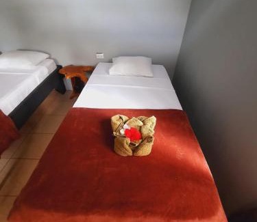 Los Planes Cama Y Desayuno | Cabinas Corcovado Green Parrot, Los Planes Drake