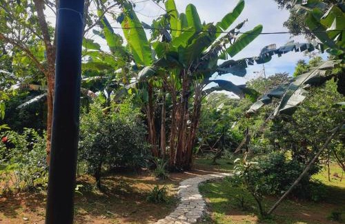 Los Planes Cama Y Desayuno | Cabinas Corcovado Green Parrot, Los Planes Drake