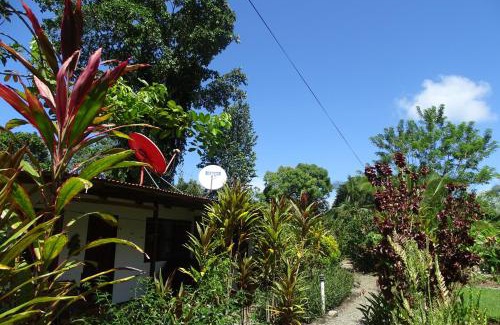 Cahuita Cabina | Cabinas Los Tucanes