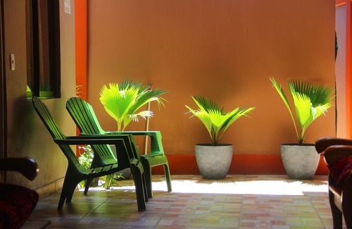 Quepos Apartamento | Cabinas Mansión Tropical Quepos