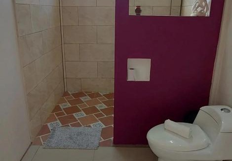 Bijagua Apartamento | Cabinas Río Celeste