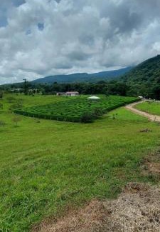 Bijagua Apartamento | Cabinas Río Celeste - Laberinto