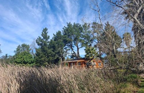 Buffalo Hills Game Reserve Cabina | Cabins at Forest Gate Brewery and Distillery
