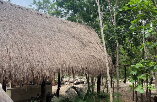 Tulum Cabina | Cabañas en medio de la selva Maya de Tulum con alberca tipo cenote