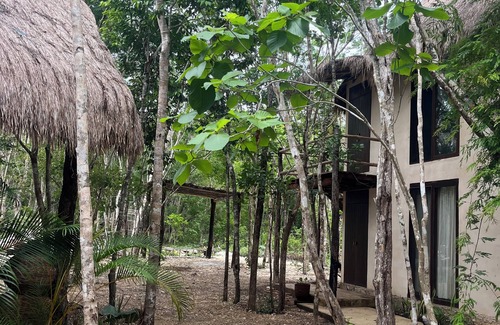 Tulum Cabina | Cabañas en medio de la selva Maya de Tulum con alberca tipo cenote