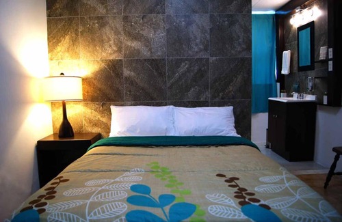 Centro Hotel | Cabo Tortuga Hotel Boutique