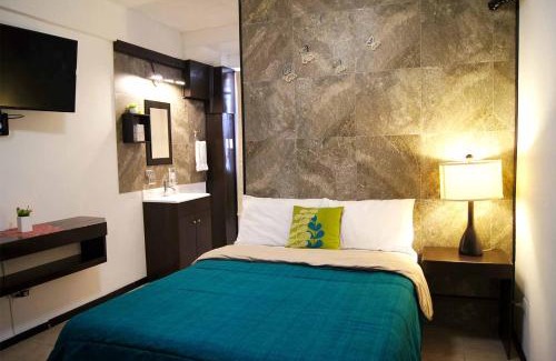 Centro Hotel | Cabo Tortuga Hotel Boutique