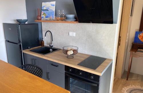Achladies Apartamento | Cactus Suberb Suite With Private Pool