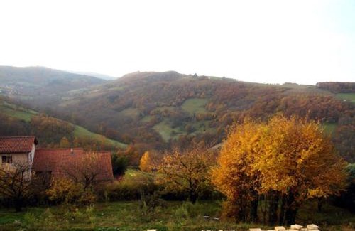 Saint-Pierre-la-Palud Cama Y Desayuno | Cadre paradisiaque