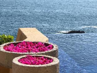 Ixtapa Hotel | Cala de Mar Resort & Spa Ixtapa