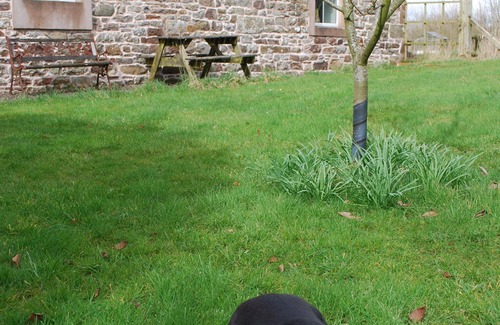 Farlam Casa | Becerro Close Cottage: un refugio rural, agradable para perros, respetuoso del medio ambiente