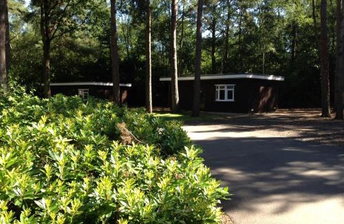 Wokingham Complejo | California Chalet & Touring Park