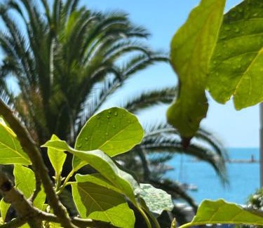 La Spezia Cama Y Desayuno | Caligo B&B stanza privata in villa d'epoca con giardino e vista mare