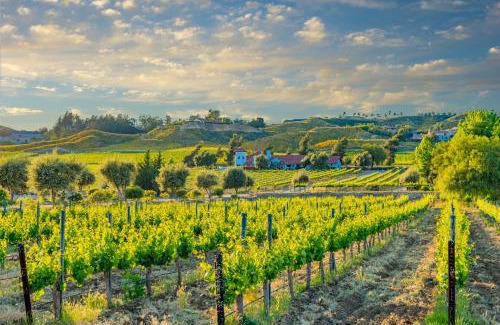 Temecula Casa | Calle Cancion Charms