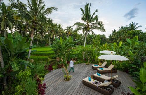 Kutuh Kaja Hotel | Calma Ubud Suite & Villas - Rice Fields View, Infinity Pool !