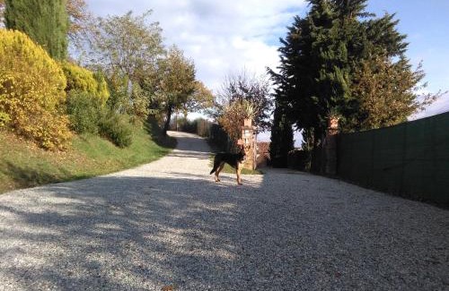 Urbino Cama Y Desayuno | Calmancino delle Selve