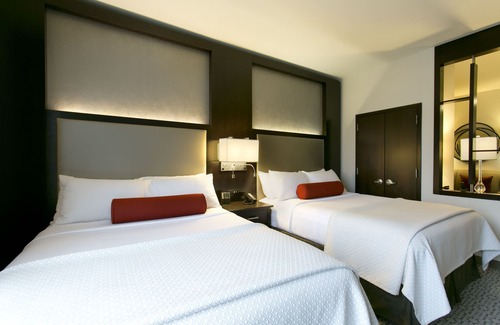 White Plains Hotel | Cambria Hotel White Plains - Downtown