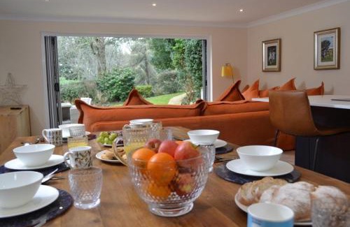 Maenporth Casa | Camellia