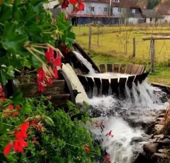 Poieni Cabina | Camere de închiriat Trandafirilor