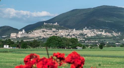 Santa Maria degli Angeli Cama Y Desayuno | Camere Mariella