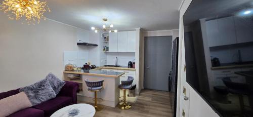 Valdivia Apartamento | Camidepartamento
