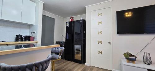 Valdivia Apartamento | Camidepartamento