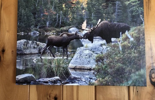 Abbot Cabina | Camp Cozy, On beautiful Piper Pond