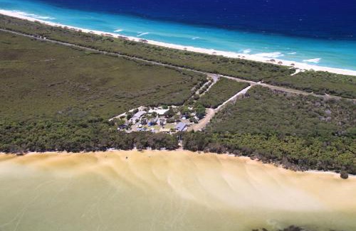 Forster Otro | Camp Elim