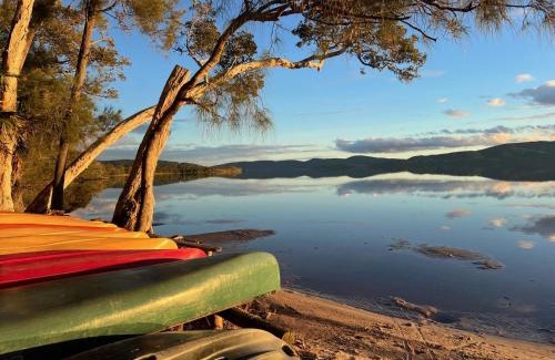 Forster Otro | Camp Elim