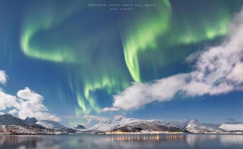 Botnhamn Otro | Camp Fjordbotn
