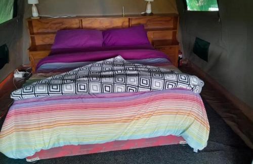 Windhoek West Otro | Camp Hogo Kavango