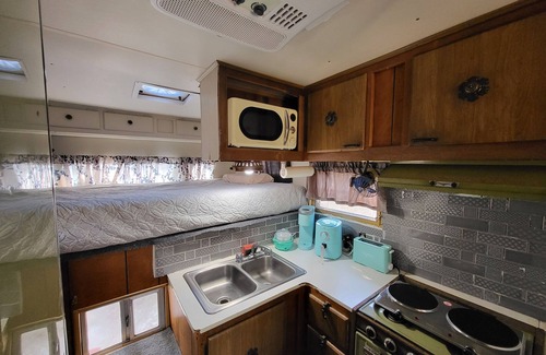 Citrus Springs Cabina | Camp in our Vintage 70's Tiny Camper with Central A/C and Heat