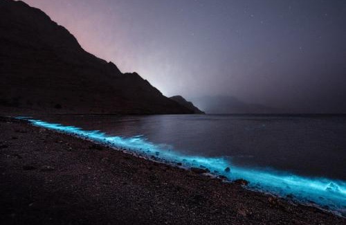 Musandam Governorate Otro | Camp in the middle of islands