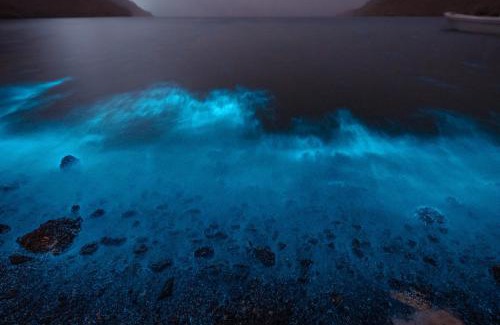 Musandam Governorate Otro | Camp in the middle of islands