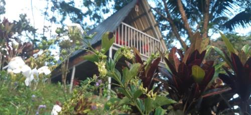 Tanay Otro | Camp Mayagay Tanay Rizal