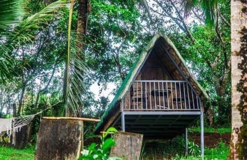 Tanay Otro | Camp Mayagay Tanay Rizal