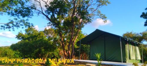 Polpithigama Otro | Camp Moragoo