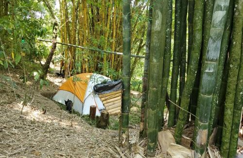 Cuetzalan del Progreso Otro | Campamento equipado de bosque