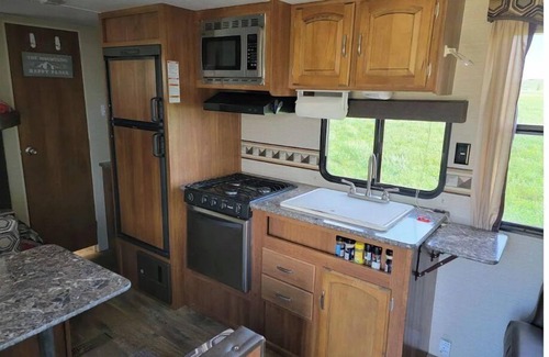 Cody Casa | Camper at Mountain Haven-WiFi/AC/outdoor fire pit/grill/hammocks/picnic table