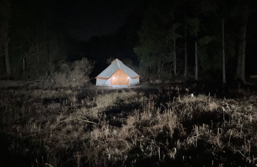 Morris Chapel Alquiler De RV | Campground at Ladybug Forest